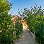 Tatil Evi De Lacrouzette Avec Piscine Chauffee Et Bain Balneo Proche D'albi