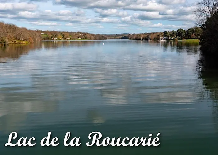 De Lacrouzette Avec Piscine Chauffee Et Bain Balneo Proche D'albi