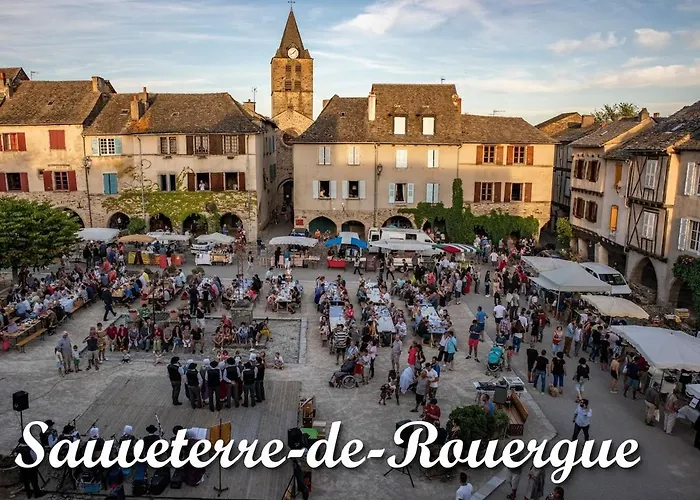 De Lacrouzette Avec Piscine Chauffee Et Bain Balneo Proche D'albi * Saint-Benoit-de-Carmaux